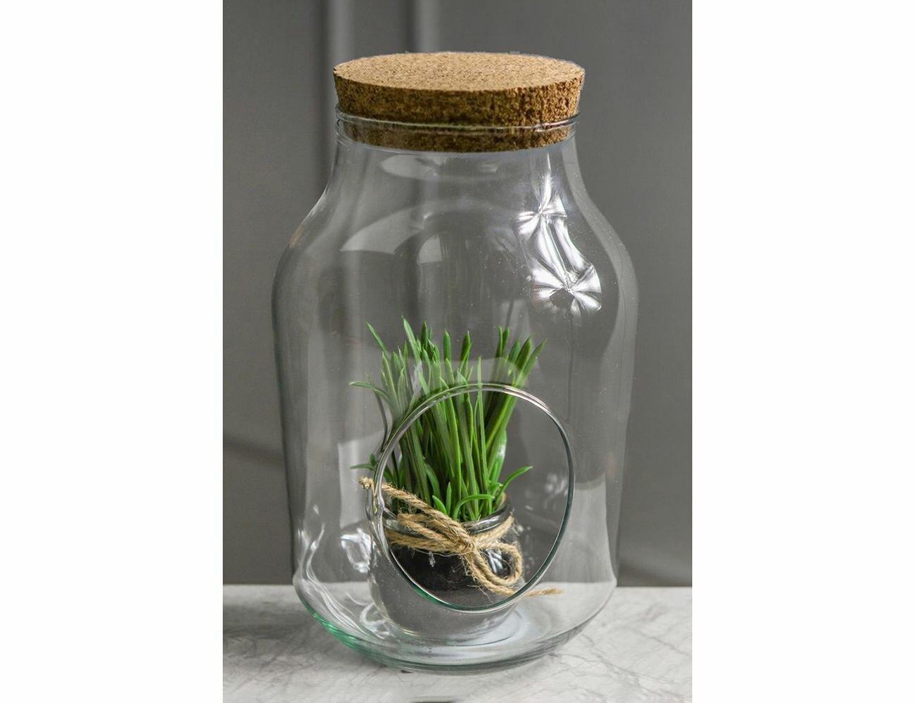 Декоративная бутыль-флорариум ботелла, стекло, 25 см, Koopman International DS3000180