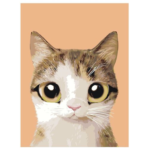 Картина по номерам, Живопись по номерам, 54 x 72, A551, кот, животное, большие глаза, изолированный фон, портрет картина по номерам живопись по номерам 54 x 72 a557 серый котенок животное большие глаза розовый фон портрет