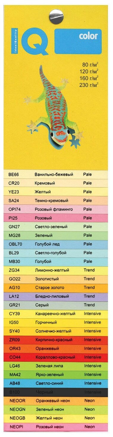 Цветная бумага IQ Neogn A4 100 листов - фото №2