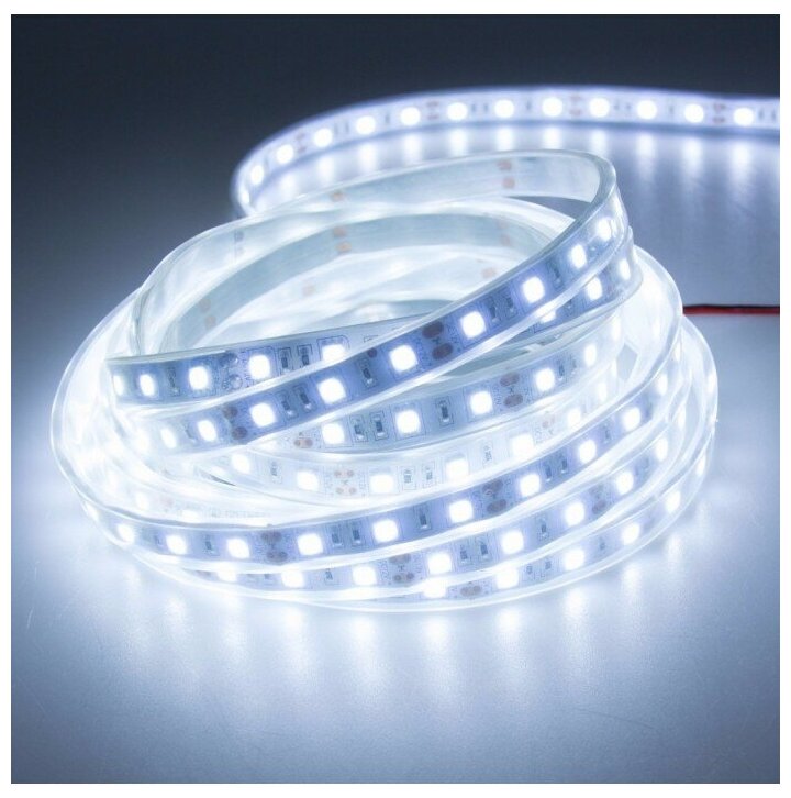 Светодиодная лента SMD 5050 60 диодов/метр. Стандарт 12 В. Цвет: белый. IP67. Катушка 5 метров.