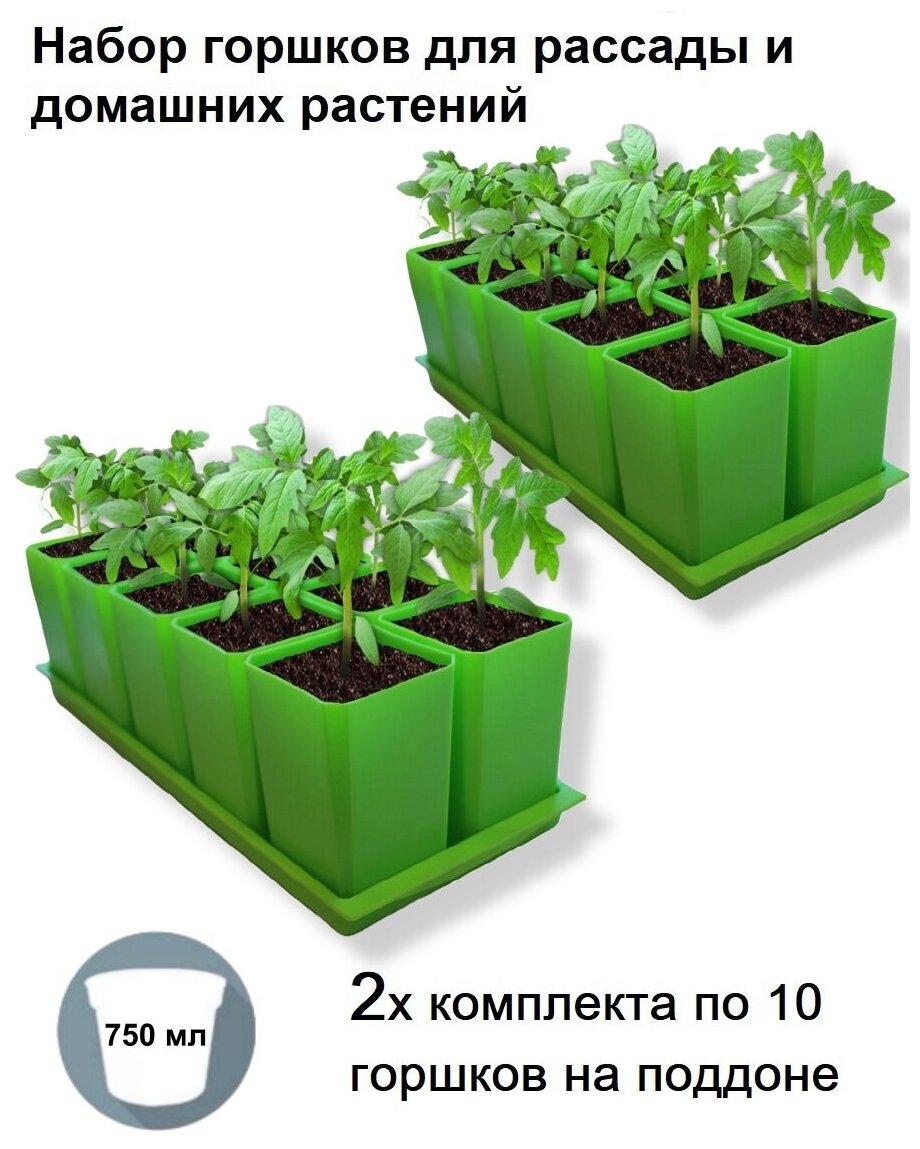 Горшки для рассады и цветов, 20 горшков по 750 мл. и 2 общих поддона, зеленые