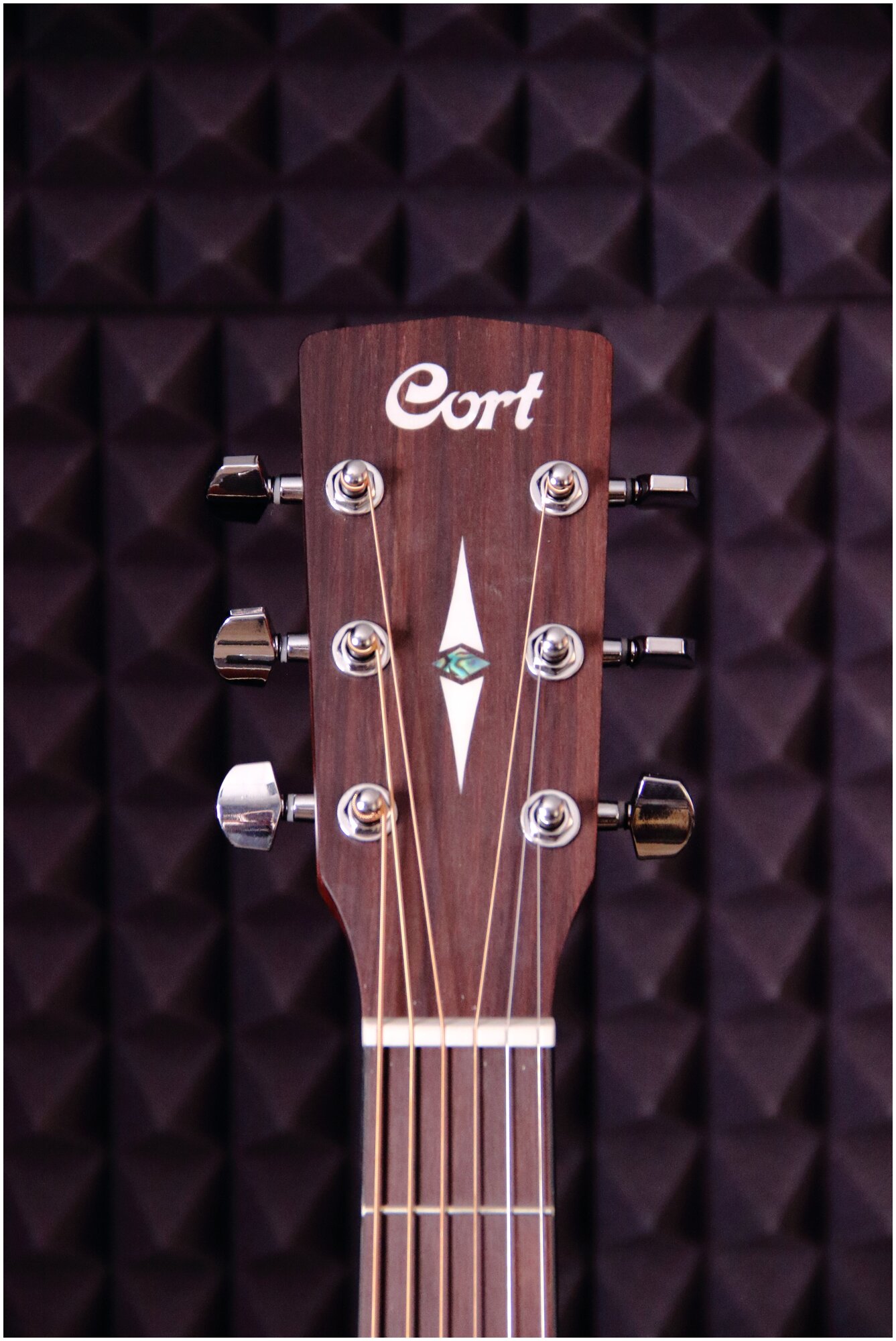 Акустическая гитара Cort - фото №13
