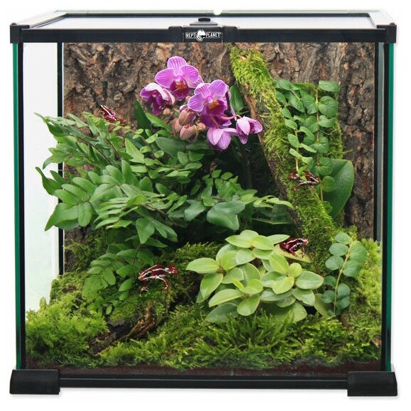 Террариум Repti Planet Glass Terrarium, 20×20×20 см - фотография № 5