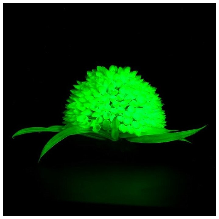 Растение шар искусственное аквариумное, светящееся, 9 см, зелёное - фотография № 4