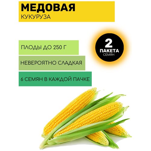 Кукуруза сахарная Медовая 2 пакета по 6шт семян цветы ипомея квамоклит 0 5г и кикио заки 6шт семян 2 пакета