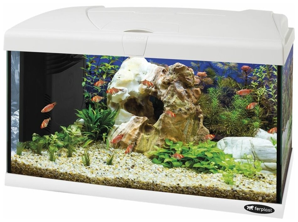 Аквариум для рыб, CAPRI 60 LED, с LED-лампой, внутренним фильтром и нагревателем, белый, 60 л