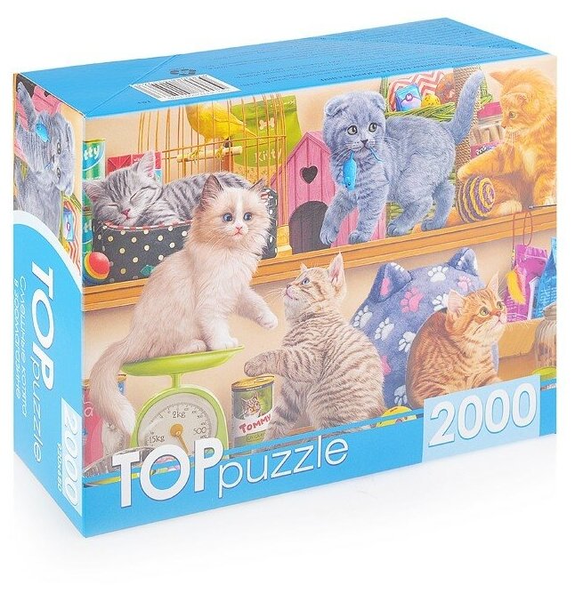 TOPpuzzle-2000 "Смешные котята" (ХТП2000-1596) Рыжий кот - фото №2