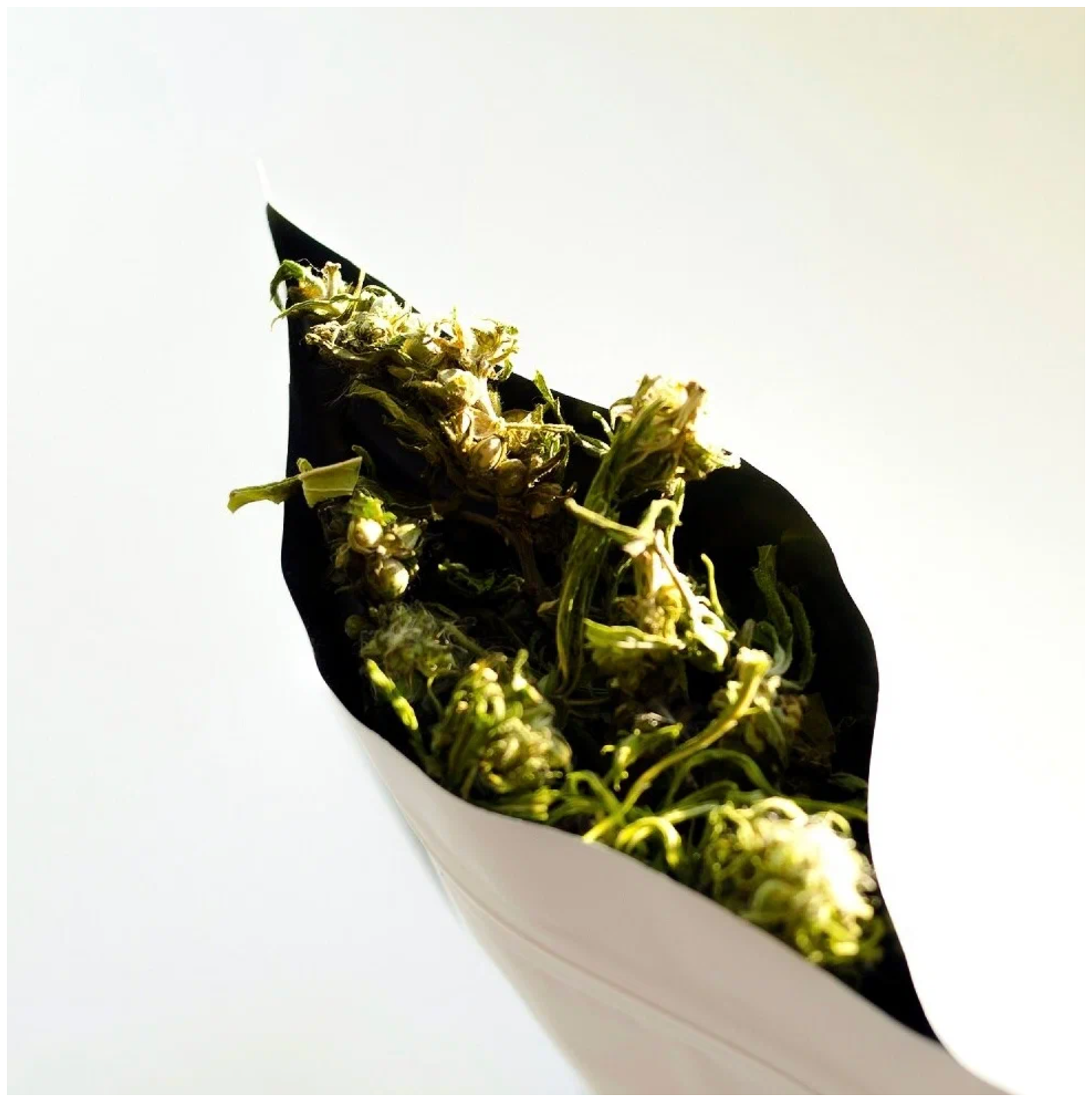Конопляный чай (напиток) Зеленая шишка, ТМ Шуйская долина, 20 гр - фотография № 10
