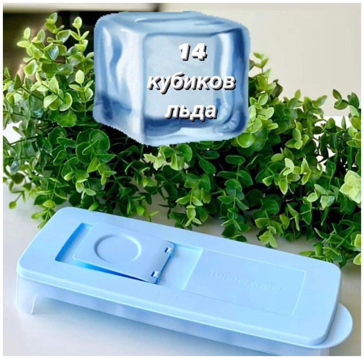 Контейнер "Морозко" для льда Tupperware 14 кубиков - фотография № 5