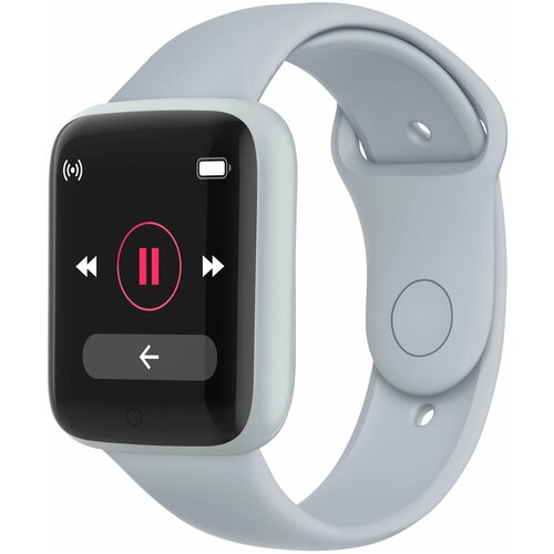 BandRate Smart BRSD20PLGRGR 169200₽