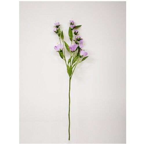 фиолетовый, сиреневый