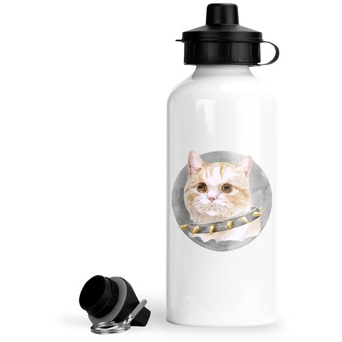 фото Спортивная бутылка кошки манчкин в ошейнике с шипами luzimuzi
