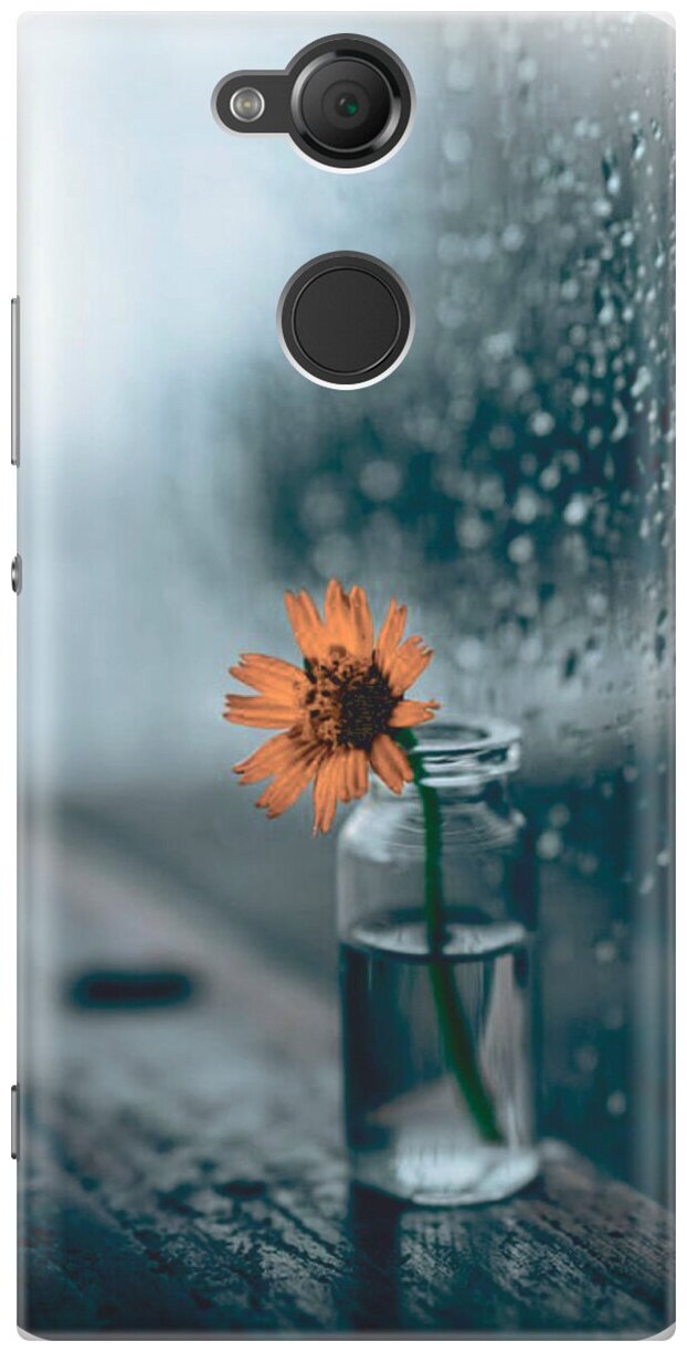 Силиконовый чехол на Sony Xperia XA2, Сони Иксперия ХА2 с принтом "Осенняя меланхолия"