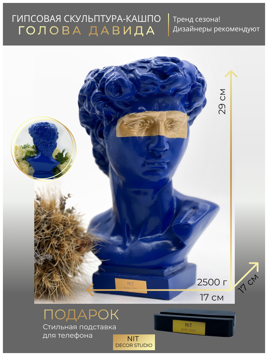 ГИПСОВАЯ ГОЛОВА ДАВИД КАШПО ВАЗА СТАТУЭТКА ИЗ ГИПСА — купить в интернет ...