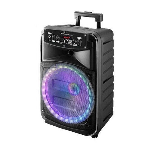 Колонка BT Speaker RX-8148 Сабвуфер 830WАКБ3000MahBluetoothTFUSBFMAUXКараоке черный 636500₽