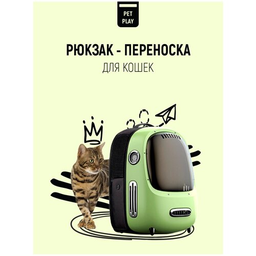 Рюкзак-переноска для кошек и собак, цвет-голубой