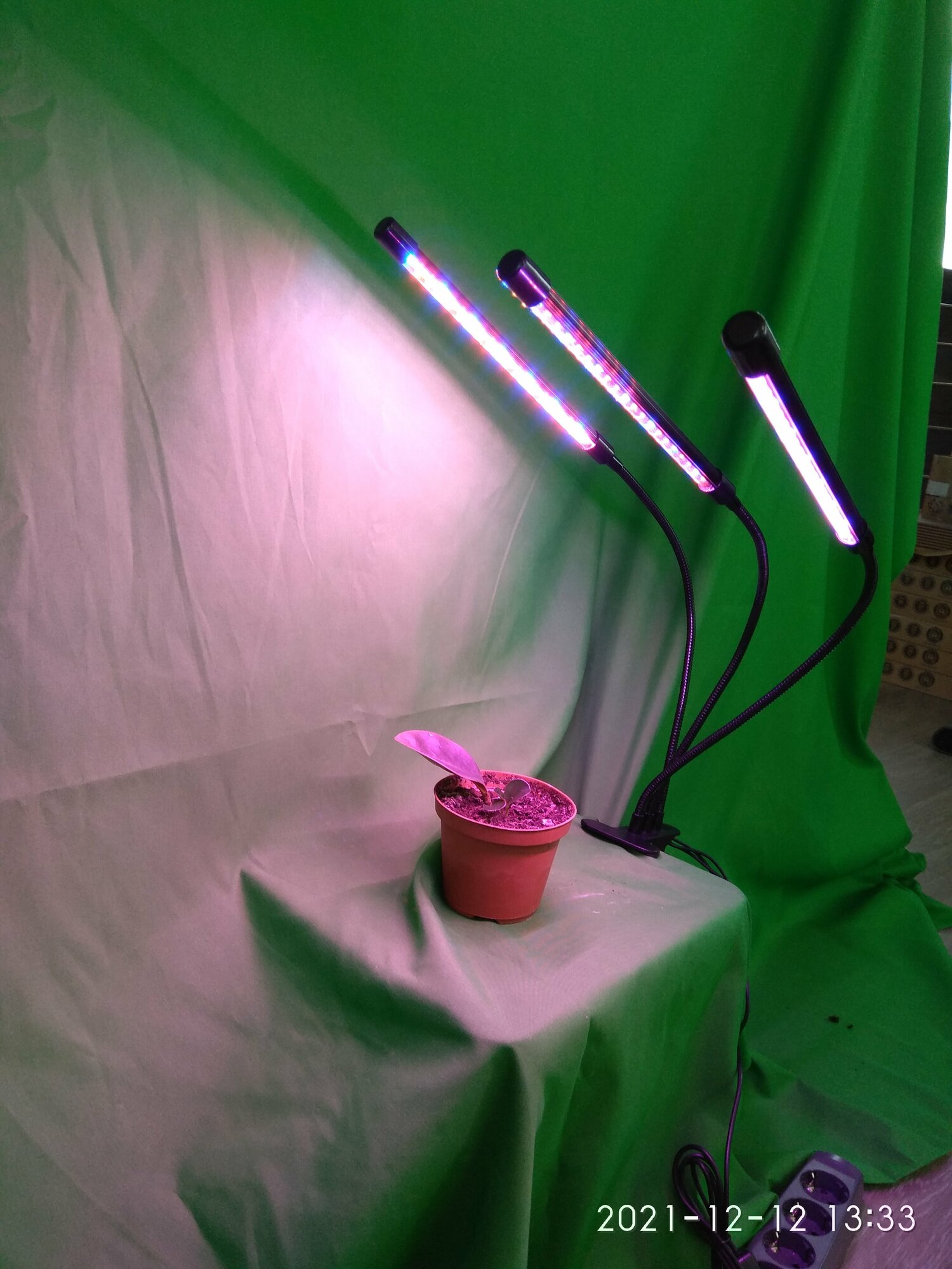 Фито-лампа "Стриж" 30 ватт для выращивания растений - фотография № 2