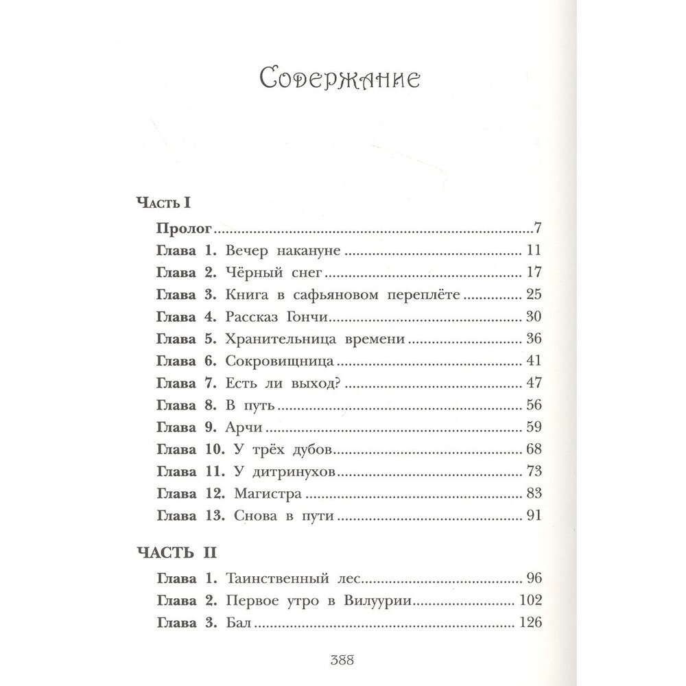 Дин-Дик и Снежный дитринух (Сахарова Н.) - фото №5