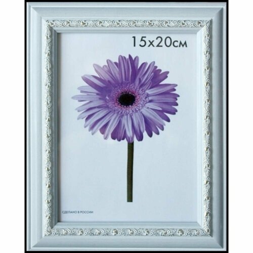 ООО Изометрика Рамка пласт. Daria 60*80см белая 0058-60-2501