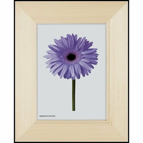 Деревянная рамка ООО Изометрика Fiona