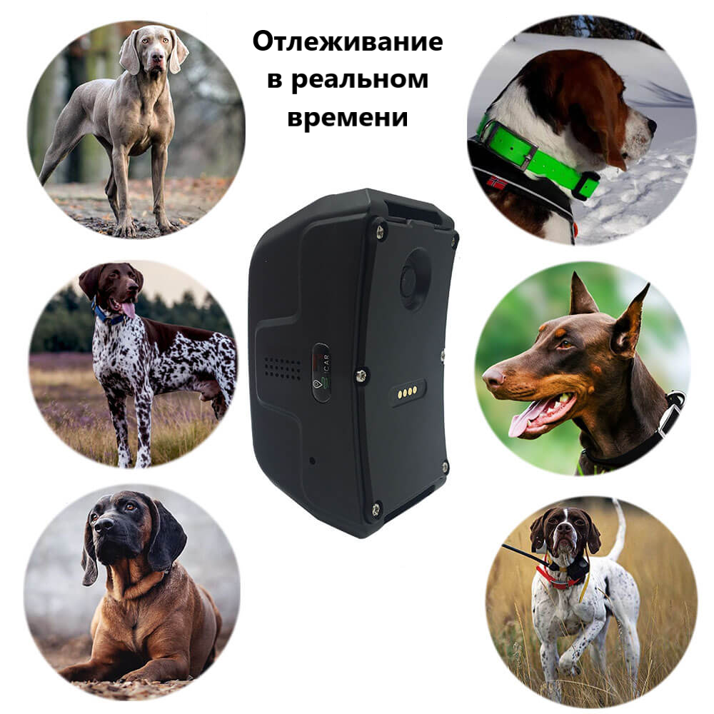 GPS/Glonass трекер для охотничьих собак IK122 PRO — фото 9