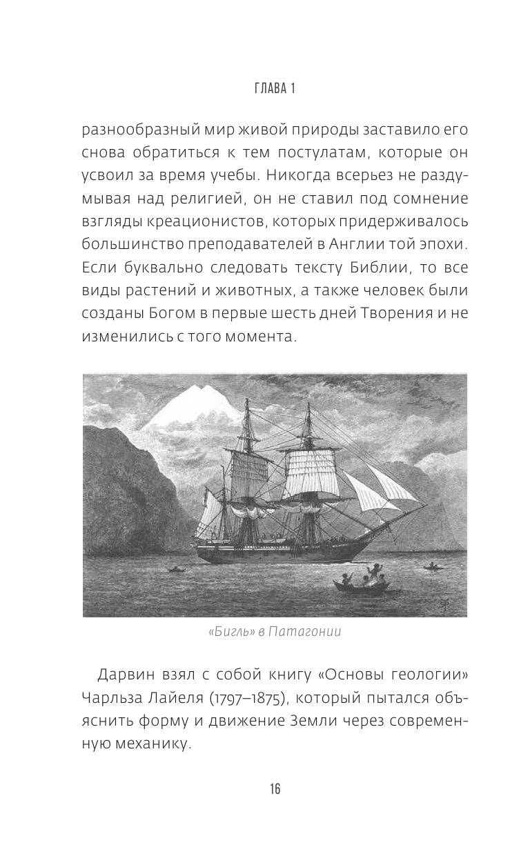 Дарвин на отдыхе. Размышляем над теорией эволюции - фото №14