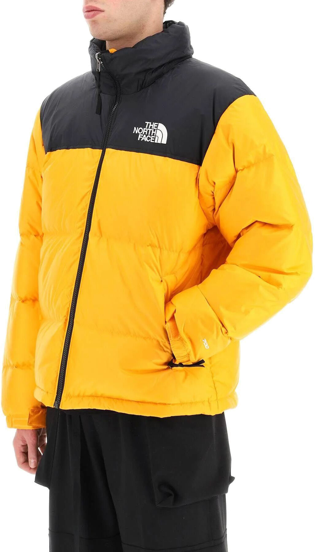 Куртка спортивная The North Face