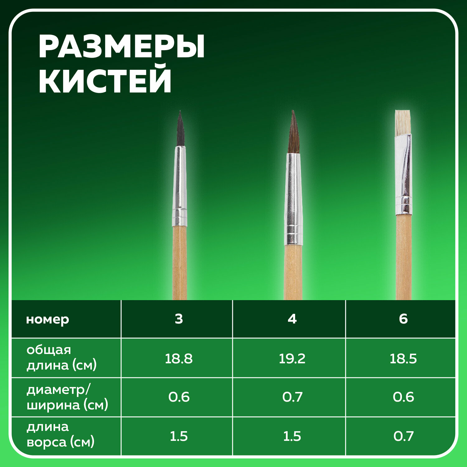 Набор кистей BRAUBERG белка, пони, щетина, с короткой ручкой, №3,4, 3 шт., блистер - фото №13