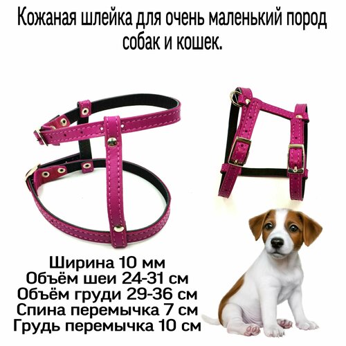 Шлейка из натуральной кожи для мелких пород собак и кошек. Кожаная шлейка.