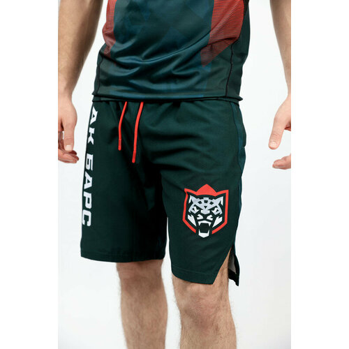 фото Шорты iamfighter, размер s, зеленый