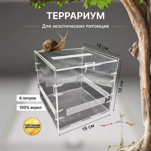 Террариум, террариум для черепахи, террариум для рептилий, террариумистика, террариум для растений, брудер