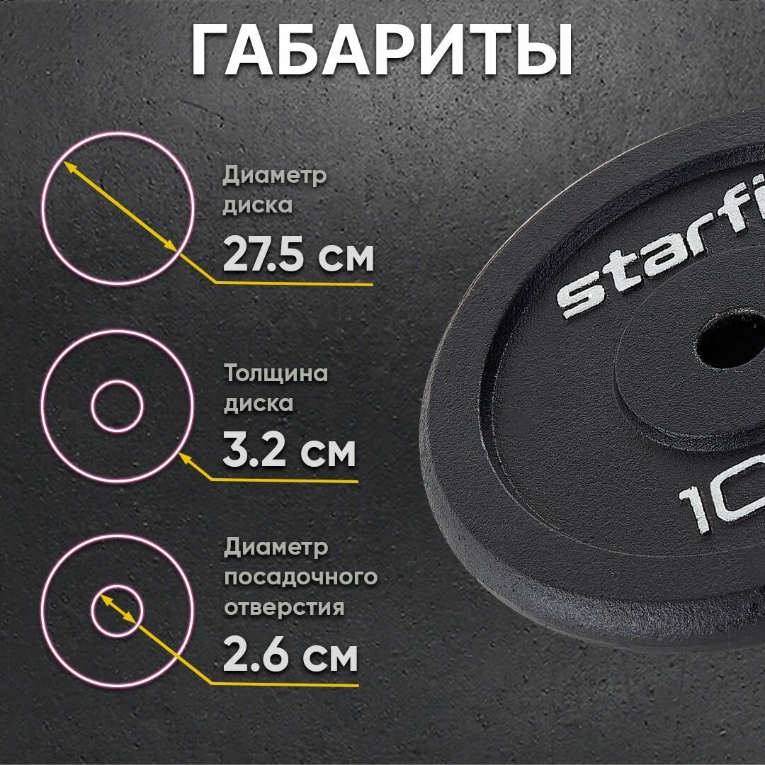 Диск Starfit BB-204 для штанги без покр. 10кг черный (УТ-00009822) - фото №5