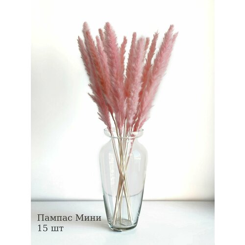Букет из сухоцветов Пампасная трава 15 шт