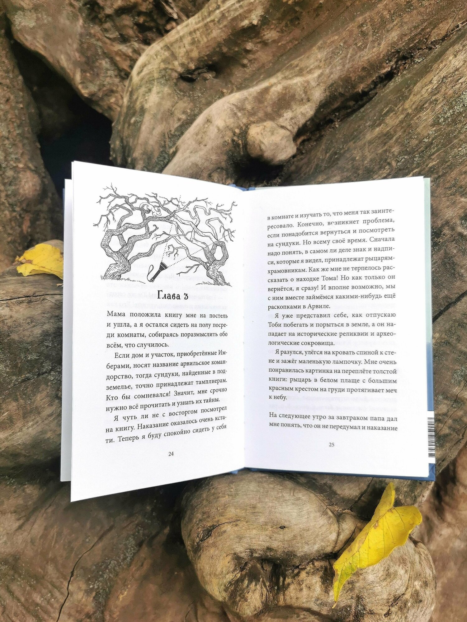 Тайна заброшенного дома (Флориан Дениссон, Марианна Кожевникова, переводчик, Юлия Широнина, иллюстратор) - фото №4