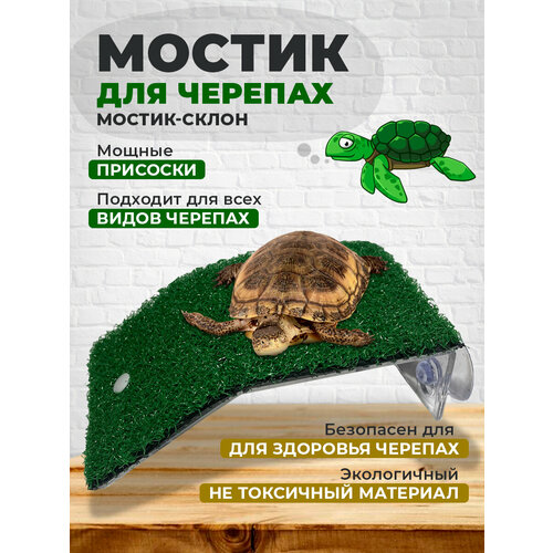 Мостик для черепах на присосках 95x80 мм+55 мм склон