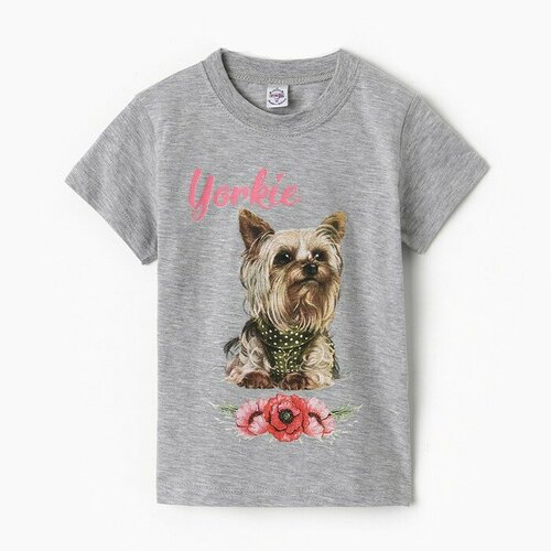 фото Футболка bonito kids, серый