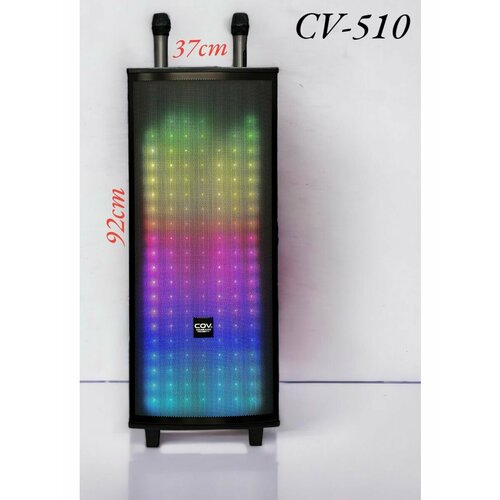 Беспроводная колонка COV CV-510 с 2 микрофонами USB 26200₽