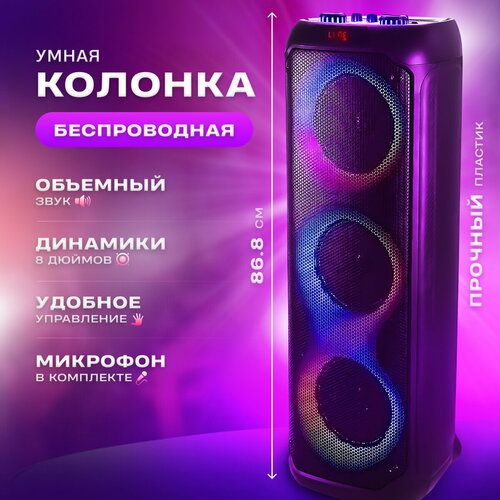 Колонка большая напольная DSP RX-8301 с микрофоном караоке 2299000₽