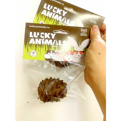 подсвечник декоративный для 1 й свечи кедровая шишка Lucky Animals Кедровая шишка с Алтая 1 in