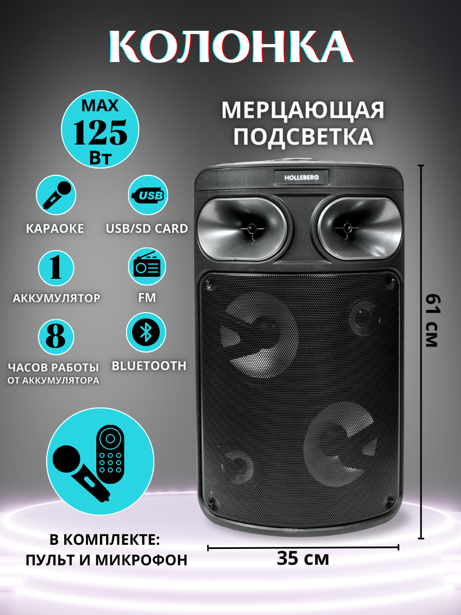 Акустическая система с функцией караоке HOLLEBERG HX-310