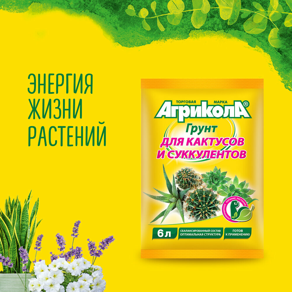 Агрикола грунт для кактусов 6 л