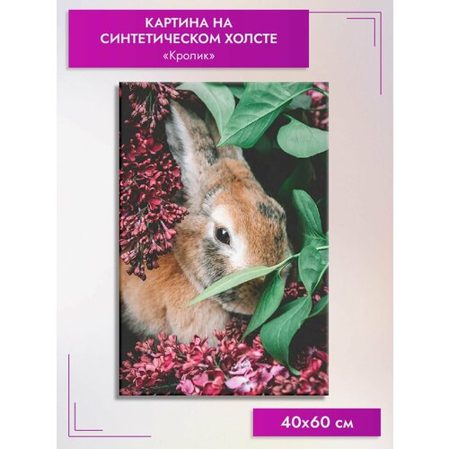 Картина интерьерная Кролик на синтетическом холсте, 40х60 см