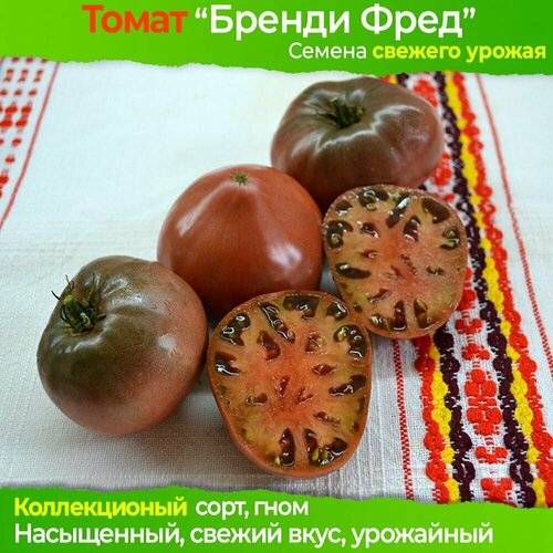 Семена томата Бренди Фред - коллекционный сорт