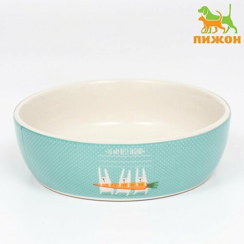 Миска керамическая Для кроликов 300мл 12 х 35 см 593₽