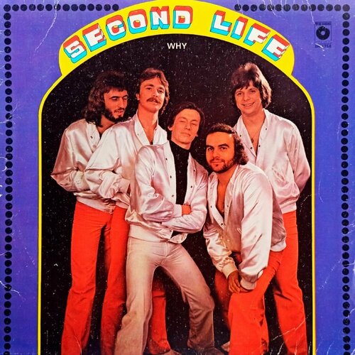 Second Life. Why (Польша, 1979) LP, EX vida vendela let the northern lights erase your name