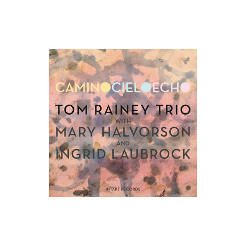 Компакт-Диски, Intakt Records, RAINEY, TOM TRIO - Camino Cielo Echo (CD) компакт диски intakt records guy barry new orchestra amphi radio rondo cd