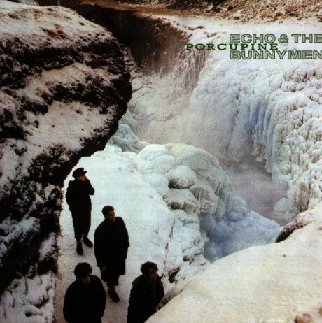 Виниловые пластинки, Korova, ECHO & THE BUNNYMEN - Porcupine (LP) Warner Music - фото №1