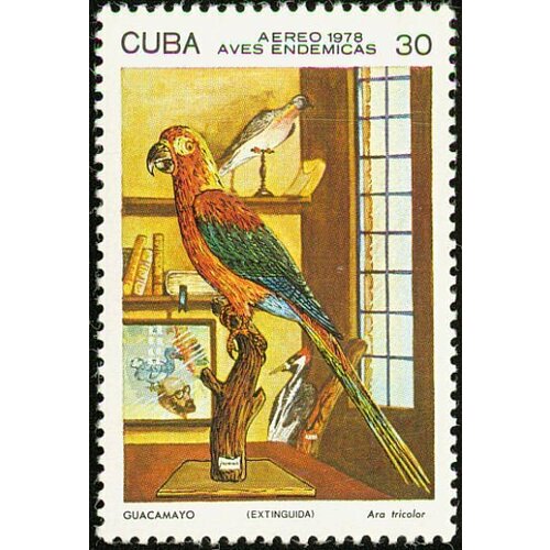 (1978-016) Марка Куба Кубинский ара Птицы III O 1986 019 марка куба кубинский лесной певун 90 лет со дня смерти хуана кристобаля гундлаха iii