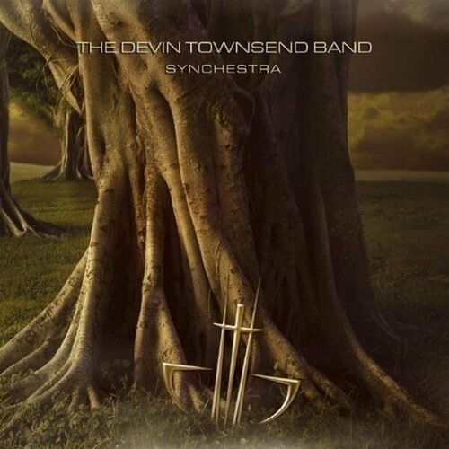 townsend devin project виниловая пластинка townsend devin project ziltoid dark matters Компакт-диск Warner Devin Townsend Band – Synchestra