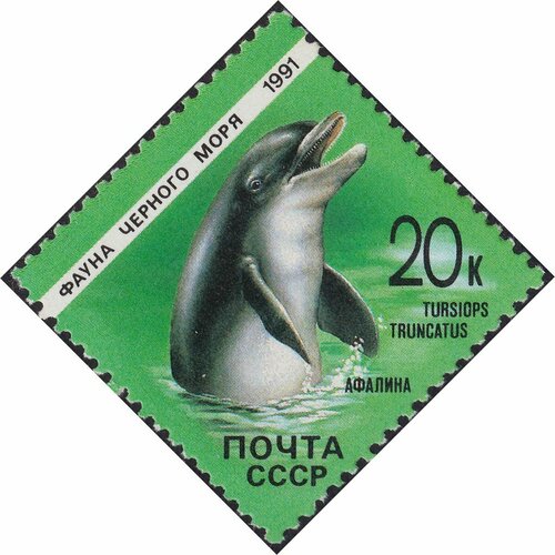 (1991-005) Марка СССР Дельфин афалина Фауна Чёрного моря III O